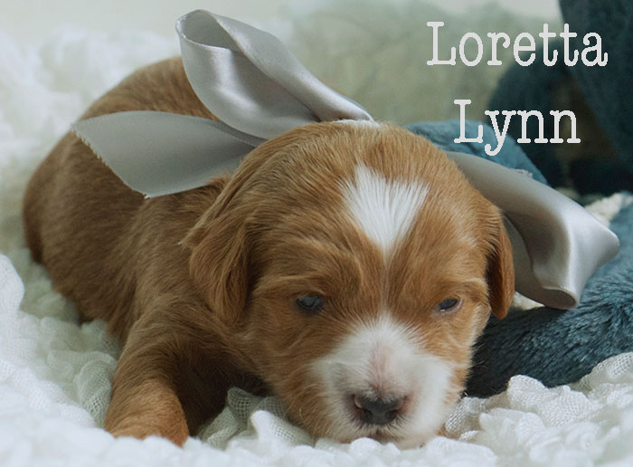 Loretta Lynn-week 2