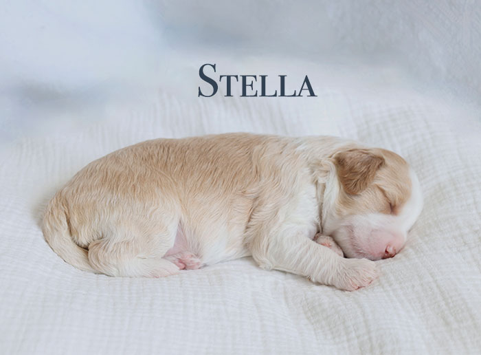 stella from capri and boots week 1