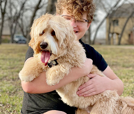 Aspen the Australian Labradoodle