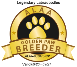 Gold Paw Member