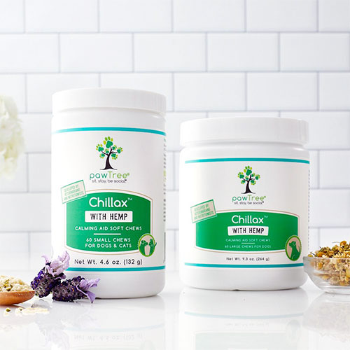 pawtree chillax image