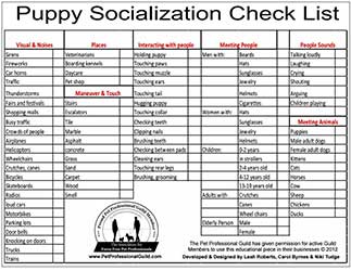 socialization-checklist