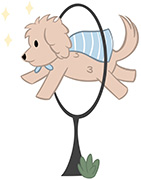 Legendary Labradoodles dog jumping through hoop cartoon