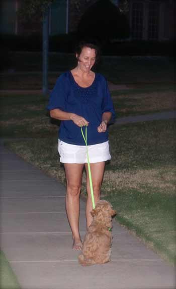 Breeder training an Australian Labradoodle puppy to sit