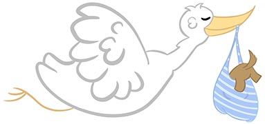 flying stork delivering a Legendary Labradoodle puppy in a blue bag cartoon