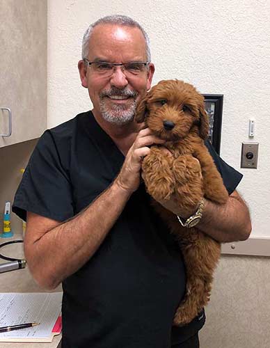 vet with puppy