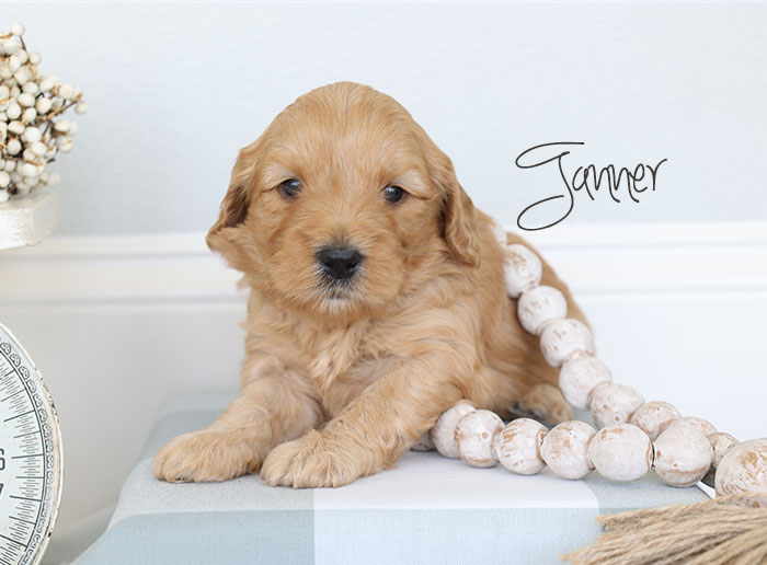 tanner from clover and river week 3