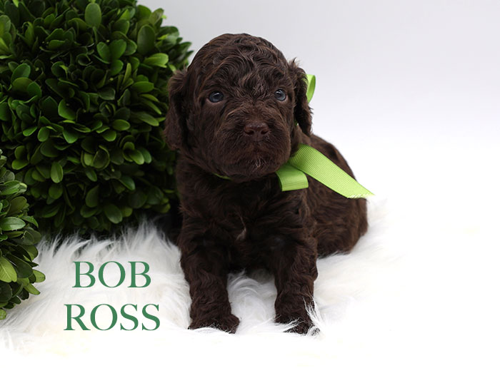 bob ross from waffles and bo week 3