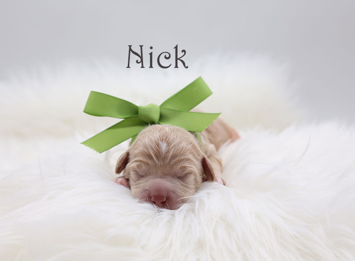 nick from birdie and flirt week 1