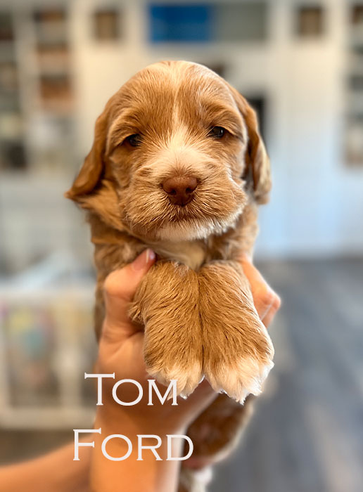 tom from piper and river week 3