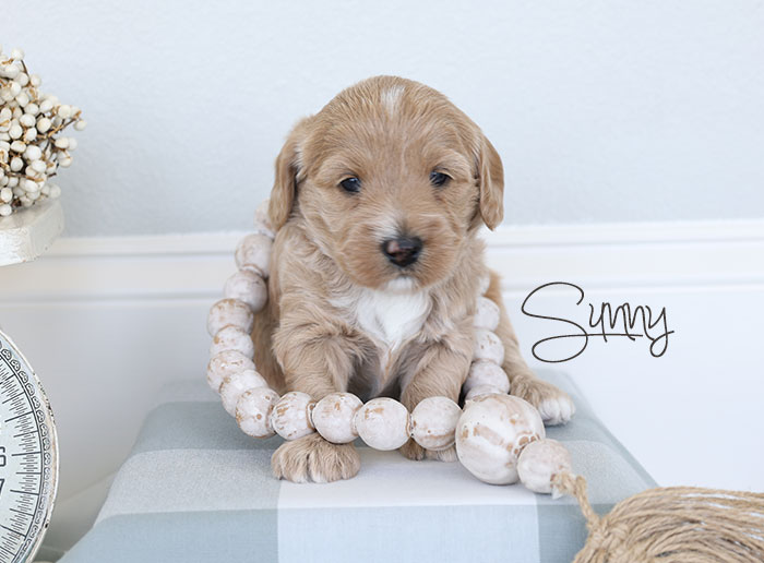 sunny from clover and river week 3