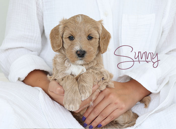 sunny from clover and river week 5