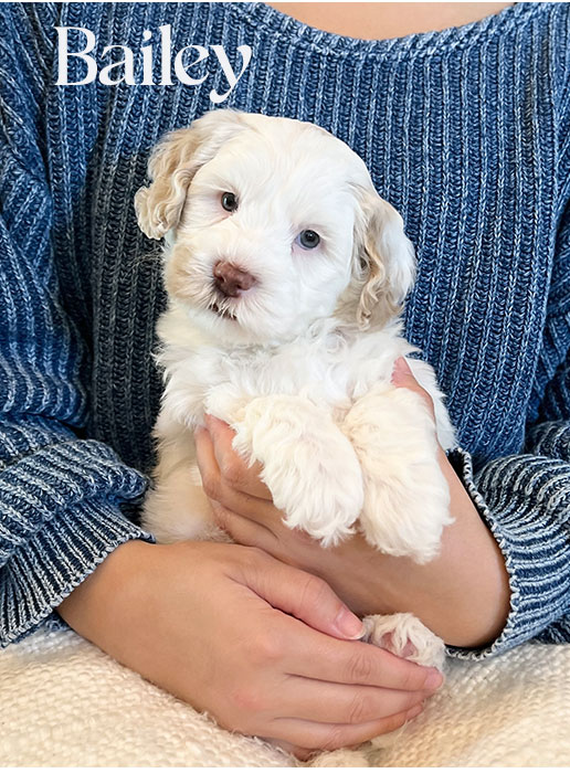 bailey from ellie and rocky week 5