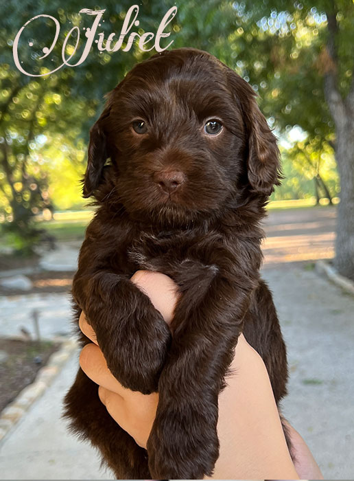 juliet from libby and rocky week 6