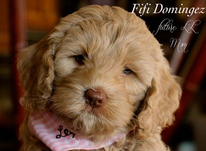 Coral Girl from Georgy and AJ week 7