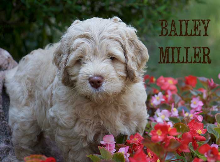 Emerald Girl from Georgy and AJ week 7