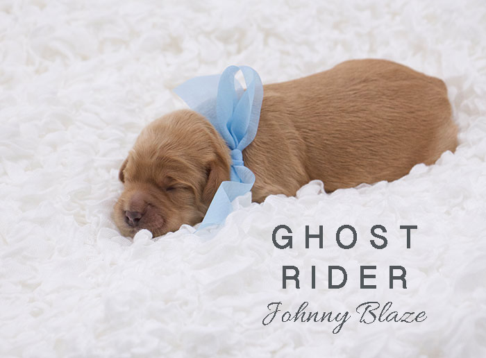 ghost from tallulah and rhodie week 1