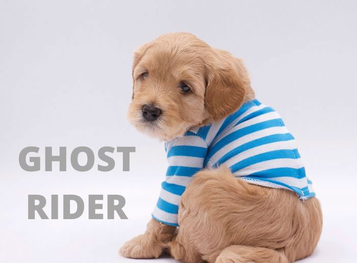 ghost from tallulah and rhodie week 5