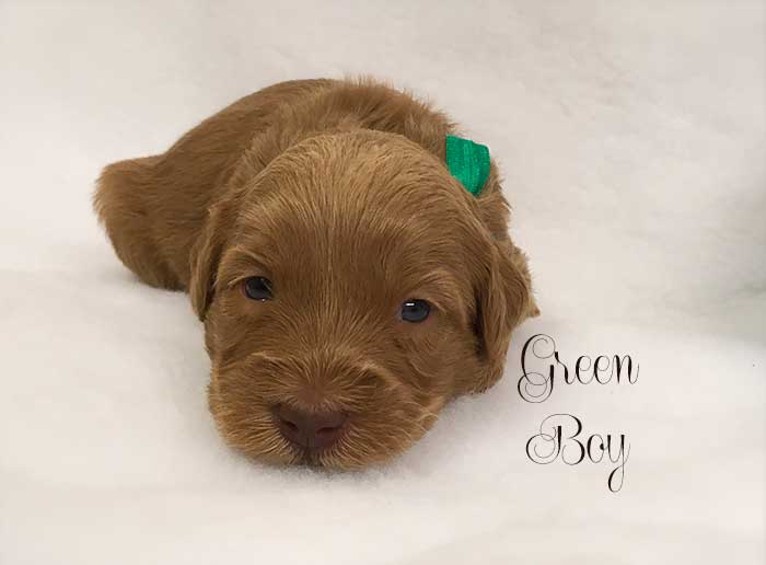 Green Boy from June and Ben week 3