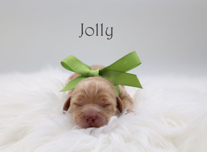 jolly from birdie and flirt week 1