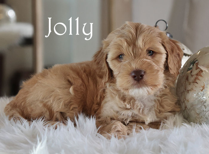 jolly from birdie and flirt week 5