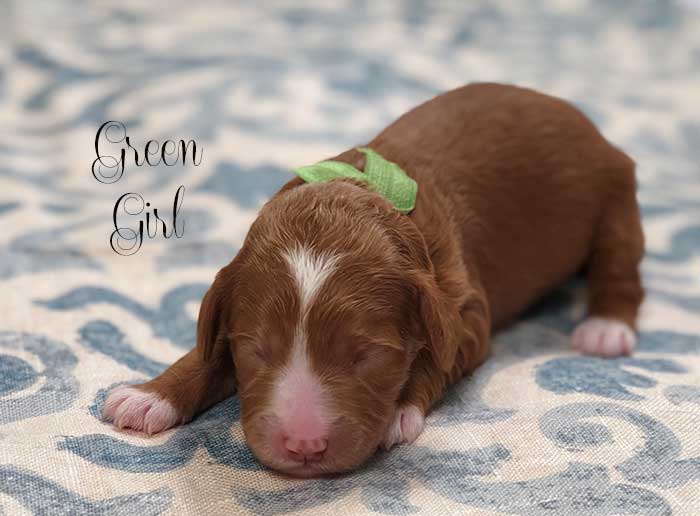 green girl from june and dutch week 1