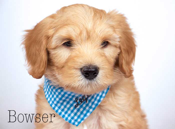 Green White Boy from Tallulah and Finn week 7