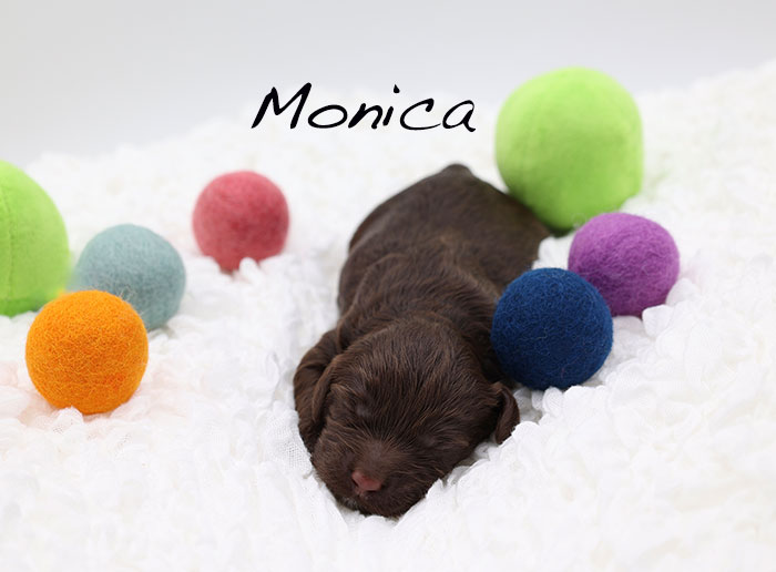 monica from piper and boots week 1