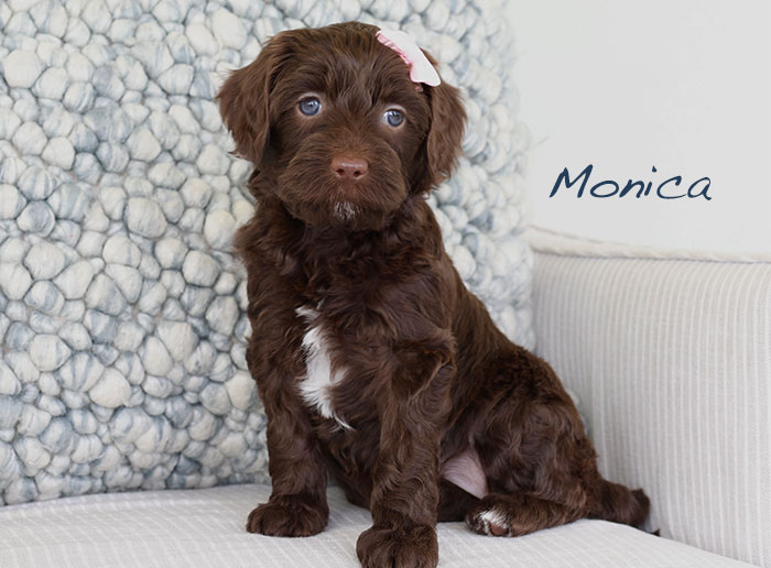 monica from piper and boots week 5