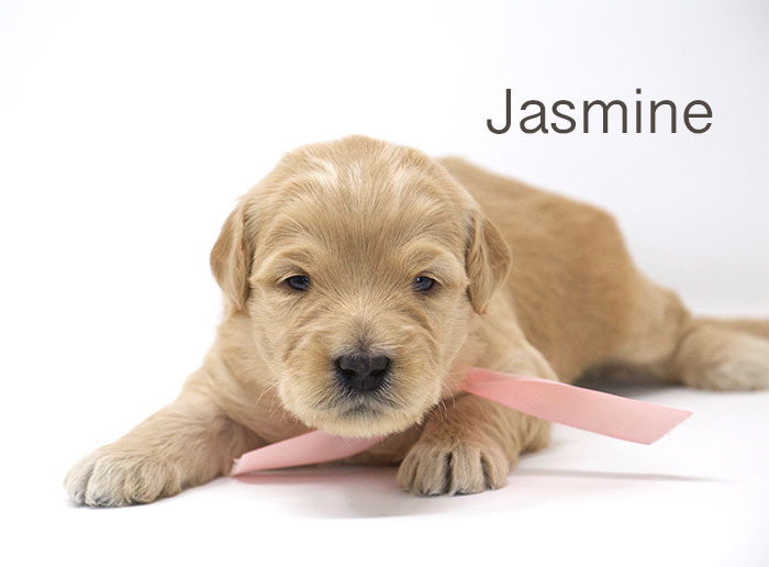 Jasmine from Tallulah and Rhodie week 3