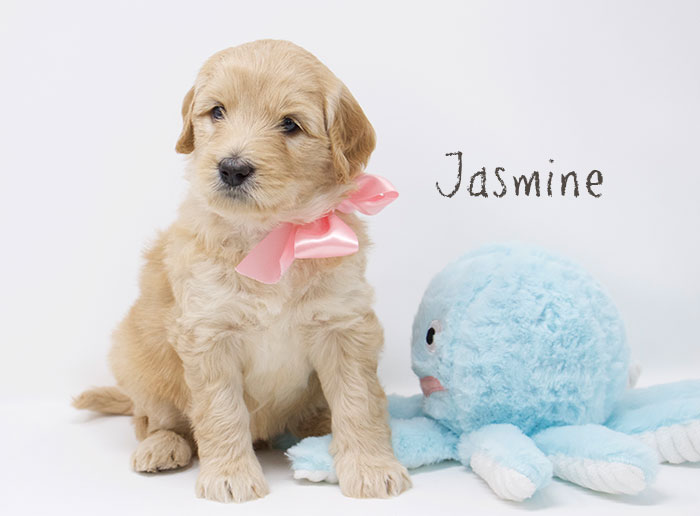 Jasmine from Tallulah and Rhodie week 5