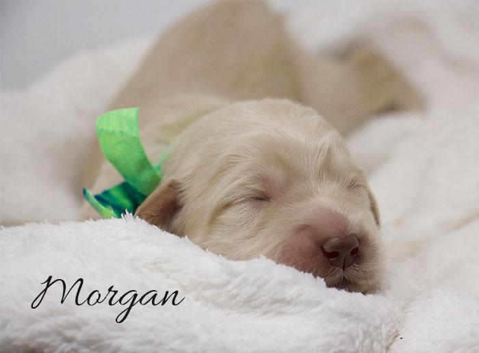 Morgan from Jules and Rhodie week 1