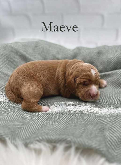 maeve from capri and river week 1