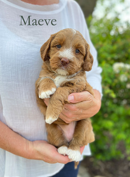 maeve from capri and river week 5