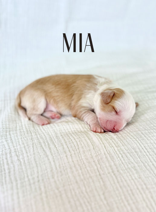 mia from libby and boots week 1