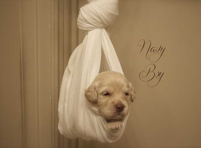 Navy Boy from Tallulah and AJ week 3