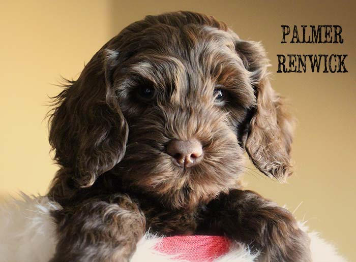 Navy Boy from Lola and AJ week 7