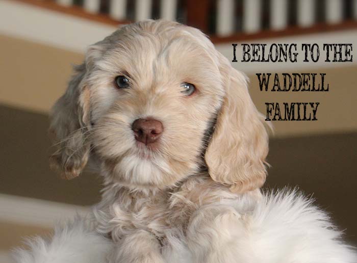 Orange Boy from Lola and AJ week 7