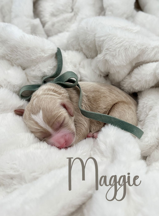 maggie from aspen and river week 1