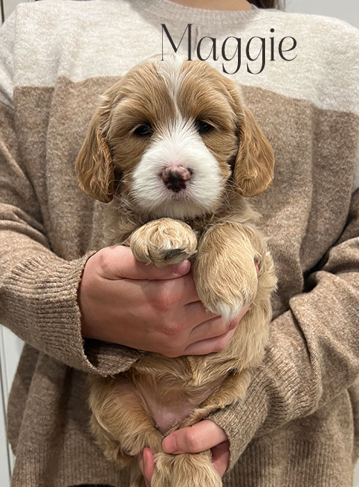 maggie from aspen and river week 5