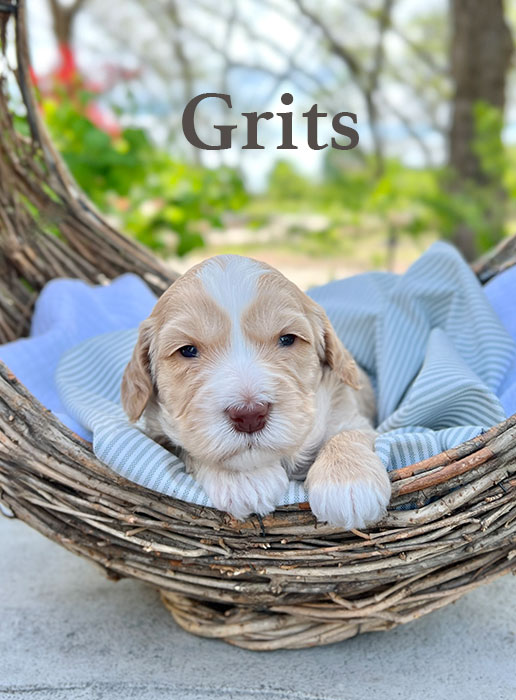 Grits from roux and rocky week 3