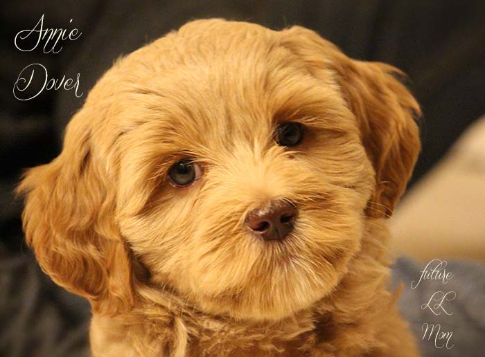 Red Girl from Rosie and AJ week 8