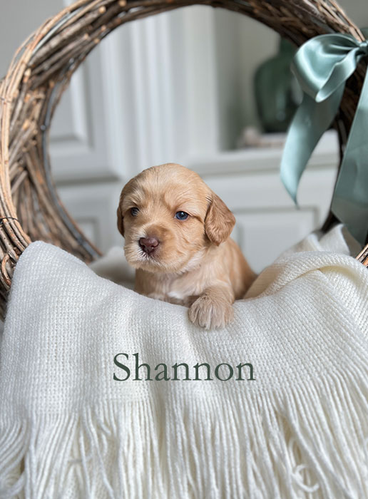 shannon from capri and river week 3