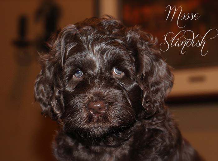 Teal Boy from Georgy and AJ week 7