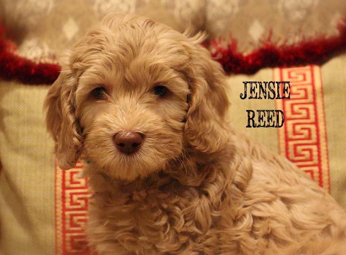 Teal Boy from Lola and AJ week 7