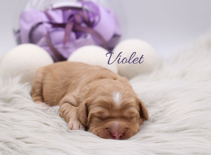 violet from monroe and river week 1