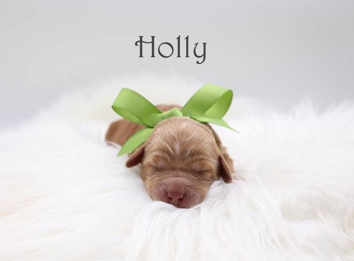 holly from birdie and flirt week 1