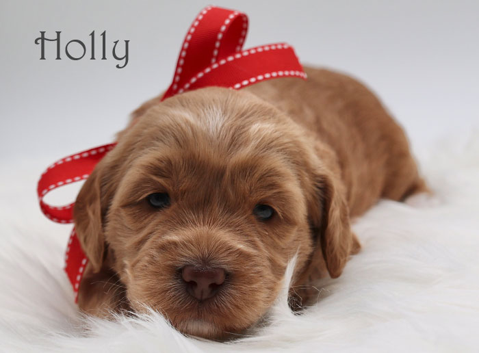 holly from birdie and flirt week 3