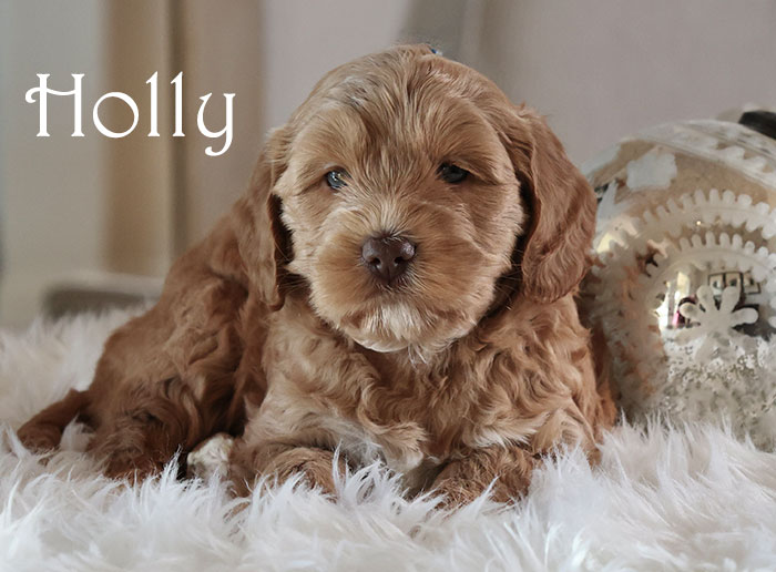 holly from birdie and flirt week 5