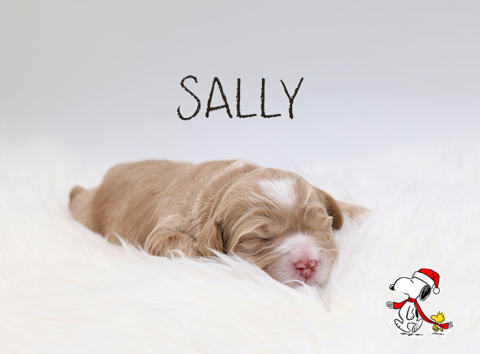 sally from marlee and river week 1